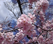DVC00020.jpg